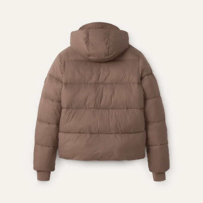 Chaqueta acolchada Brayden