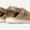 Goldenstar Clog Goldenstar Clog