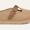 Goldenstar Hi Clog