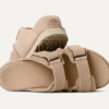 Goldenstar Hi Slide