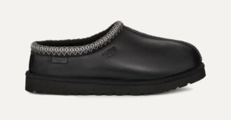 Tasman Leather Regen