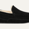UGG Ascot UGG Ascot