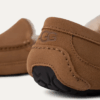 UGG Ascot UGG Ascot