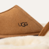 UGG Scuff UGG Scuff